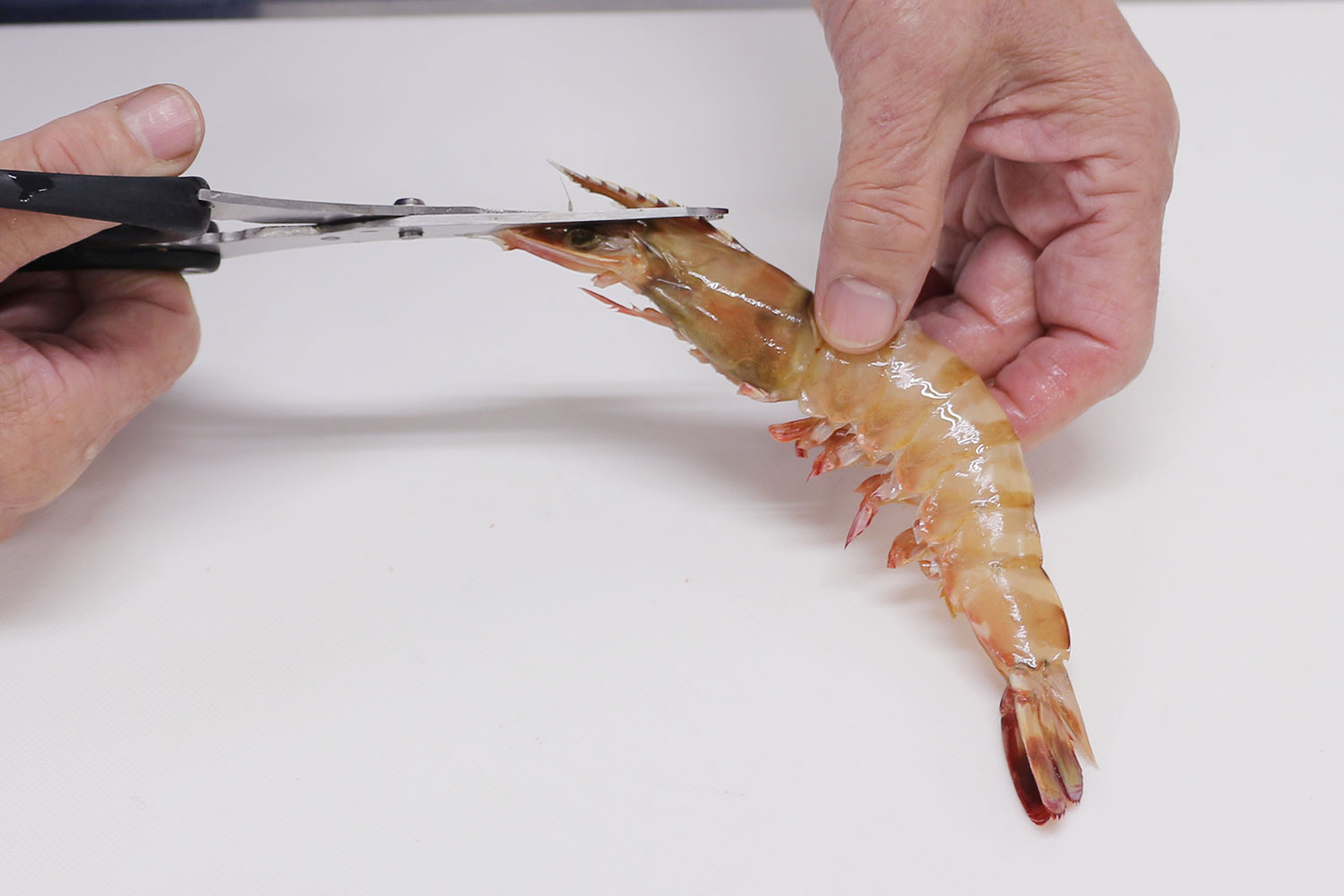 海老のつのを切る