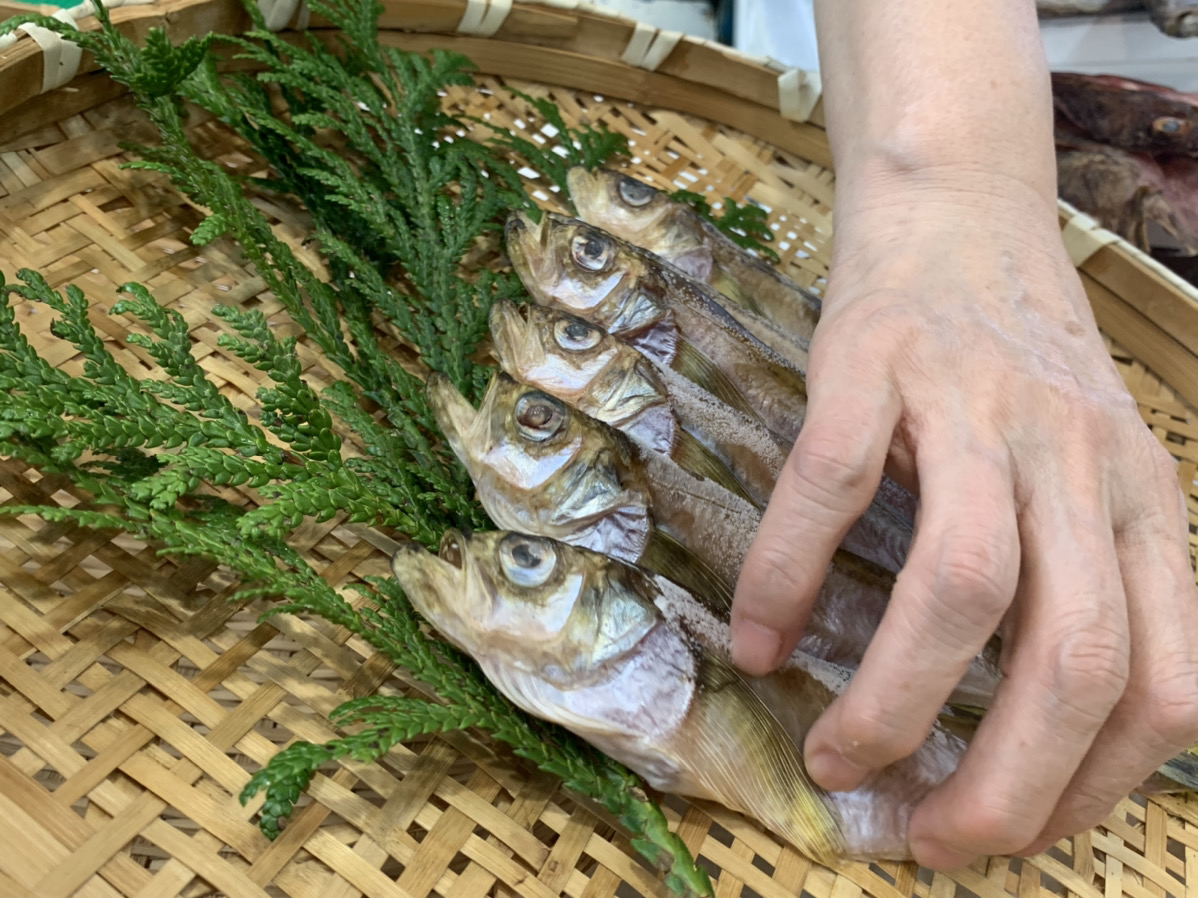 はたはた 6本 【石川県産干物】 漁師めし 海道屋
